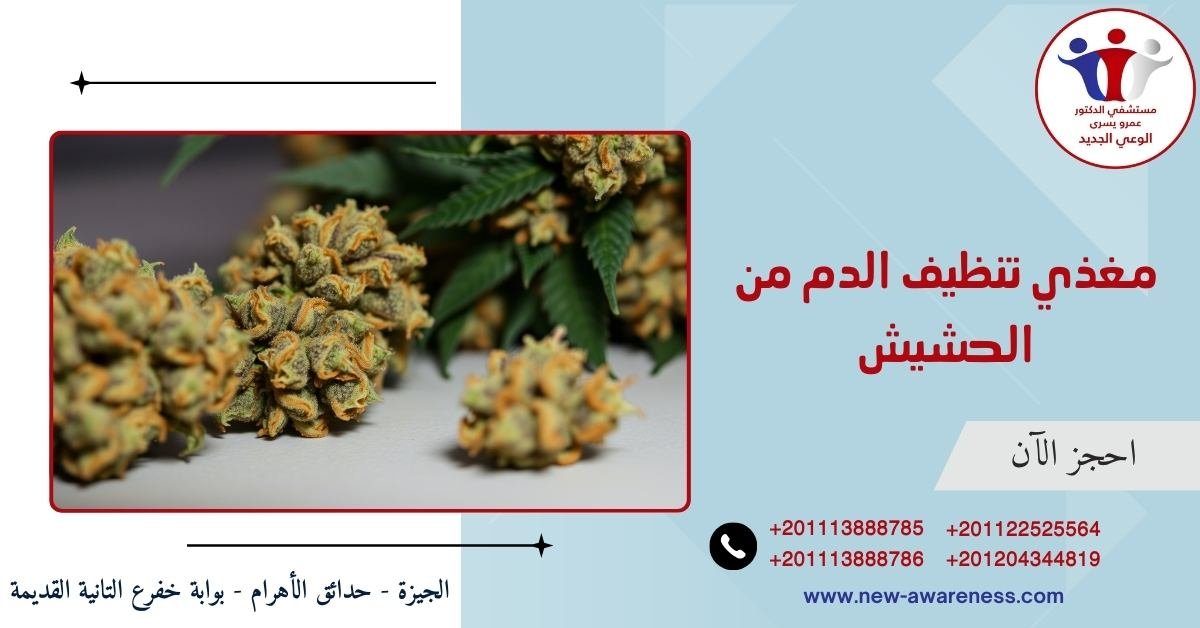مغذي تنظيف الدم من الحشيش