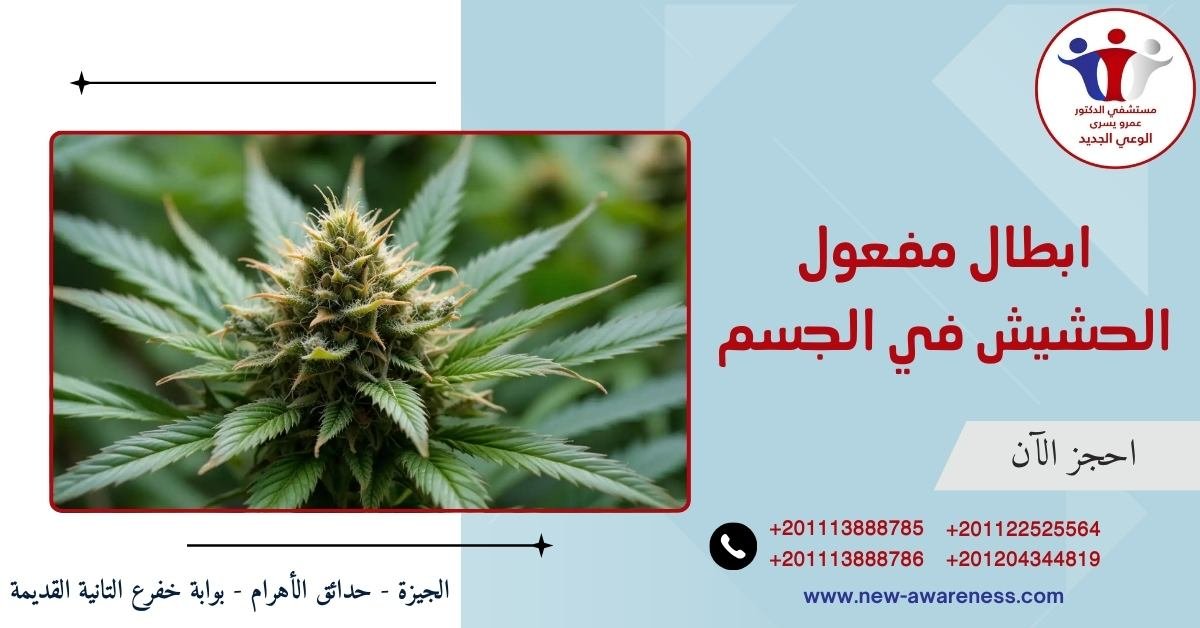 ابطال مفعول الحشيش في الجسم