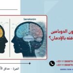 ما الفرق بين هرمون الدوبامين والسيروتونين وعلاقته بالإدمان؟